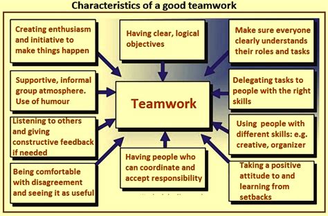 teamwork attributes.